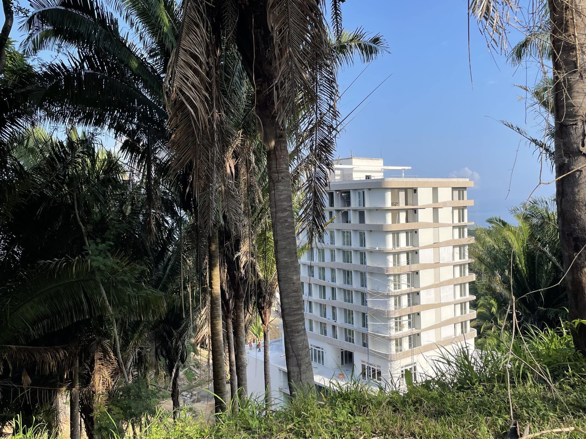 Field Report: Vitalia, The City of Life
